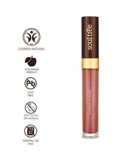 Ayurvedic Lip Gloss Nude Pink - v1626600423/N49237610A_2