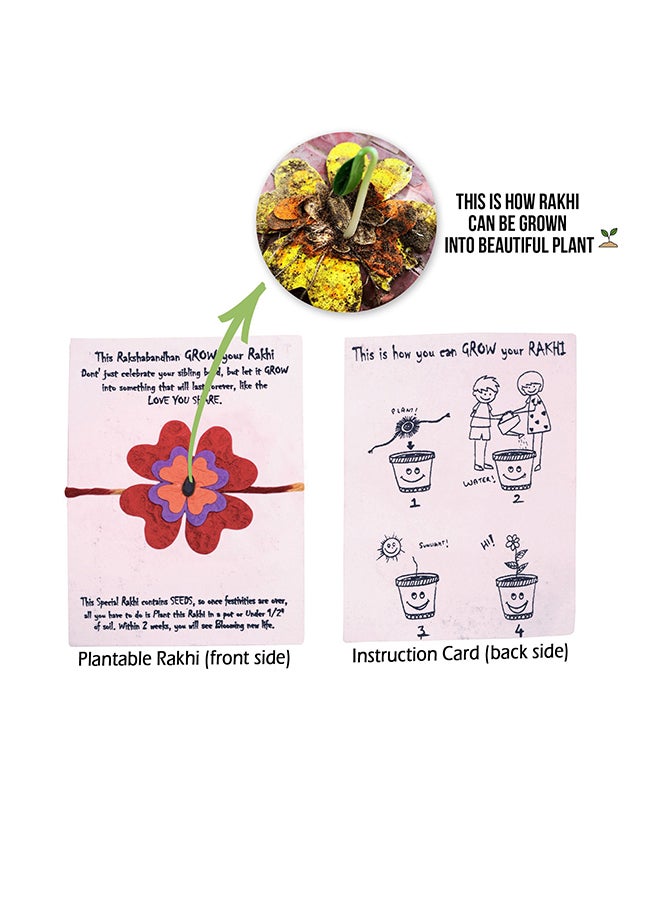 Plantable Eco Friendly Organic Seeded Rakhi With Floral Print Photo Frame And Roli, Chawal  - Image 2