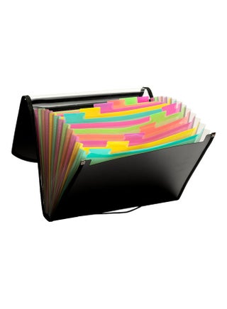 13-Pocket Extended Folder Multicolour - v1626695797/N49275944A_1