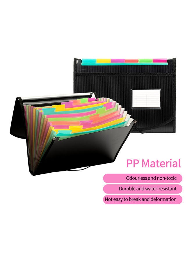 13-Pocket Extended Folder Multicolour