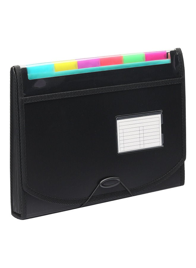 13-Pocket Extended Folder Multicolour