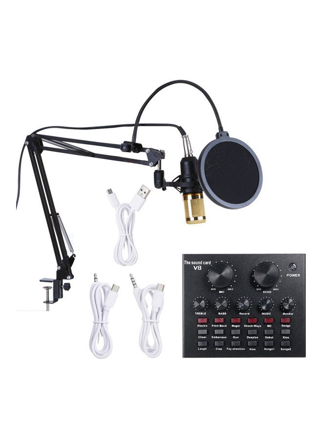 Multifunctional Sound Card and Suspension Microphone Kit I-5570G1 Multicolour - Image 1
