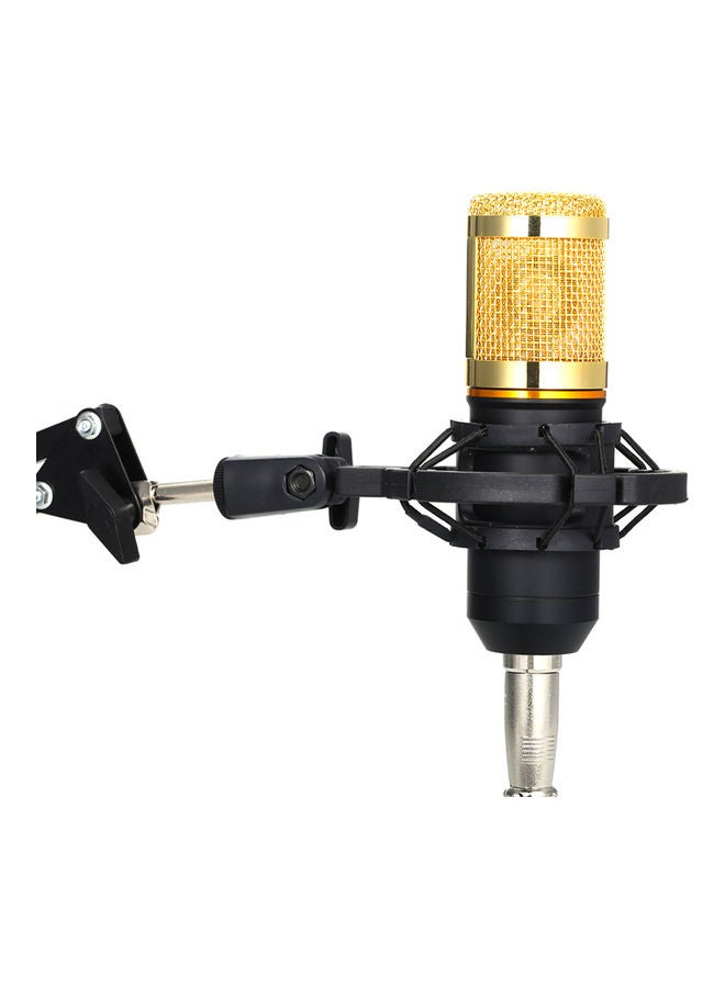 Multifunctional Sound Card and Suspension Microphone Kit I-5570G1 Multicolour - Image 5