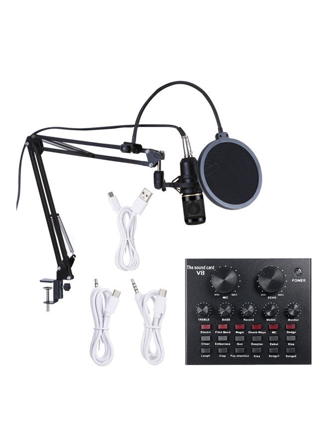 Multifunctional Sound Card and BM800 Suspension Microphone Kit I-5570B Black  - Image 1
