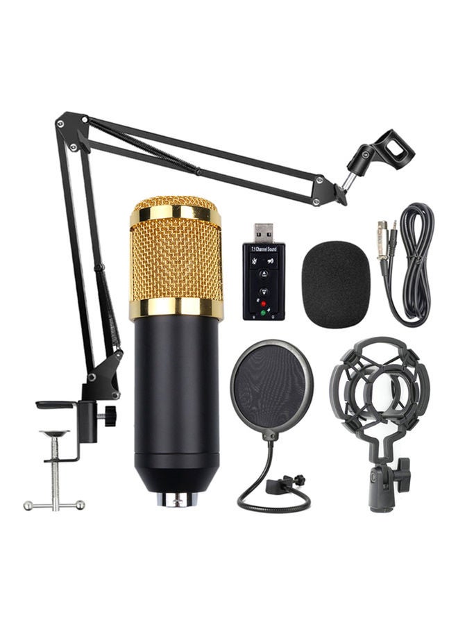 BM800 Professional Suspension Microphone Kit I-4304B-G Black/Gold - Image 1