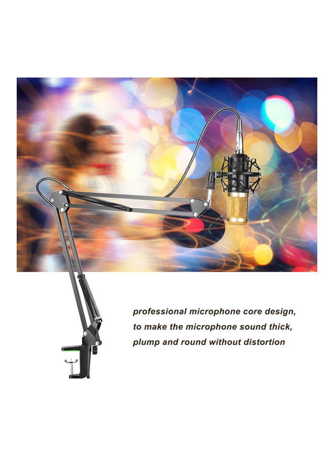BM800 Professional Suspension Microphone Kit I-4304B-G Black/Gold - Image 4