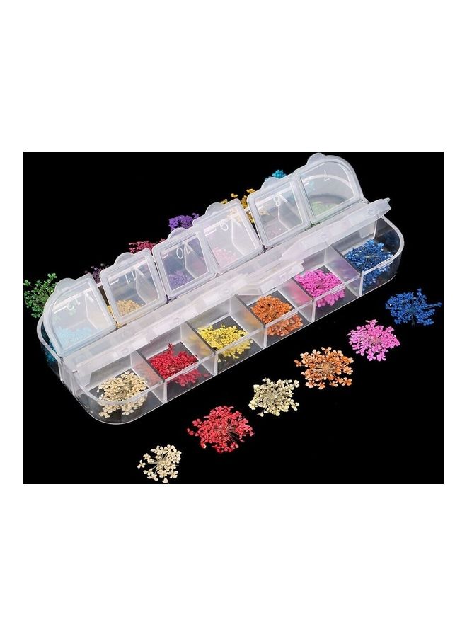 12 Cell Empty Plastic Storage Beads Case Clear