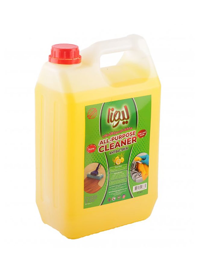 Lio All Purpose Cleaner Yellow 5000ml - Image 2