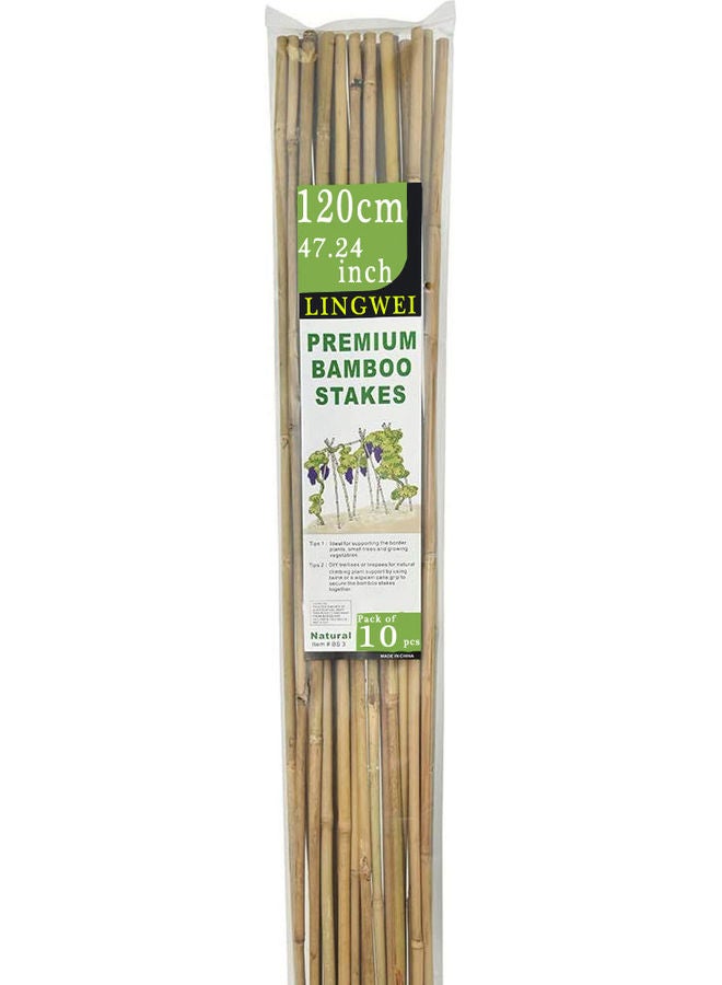 LINGWEI - 10-Piece Natural Thick Bamboo Stake Beige 120x2.7cm - Image 1