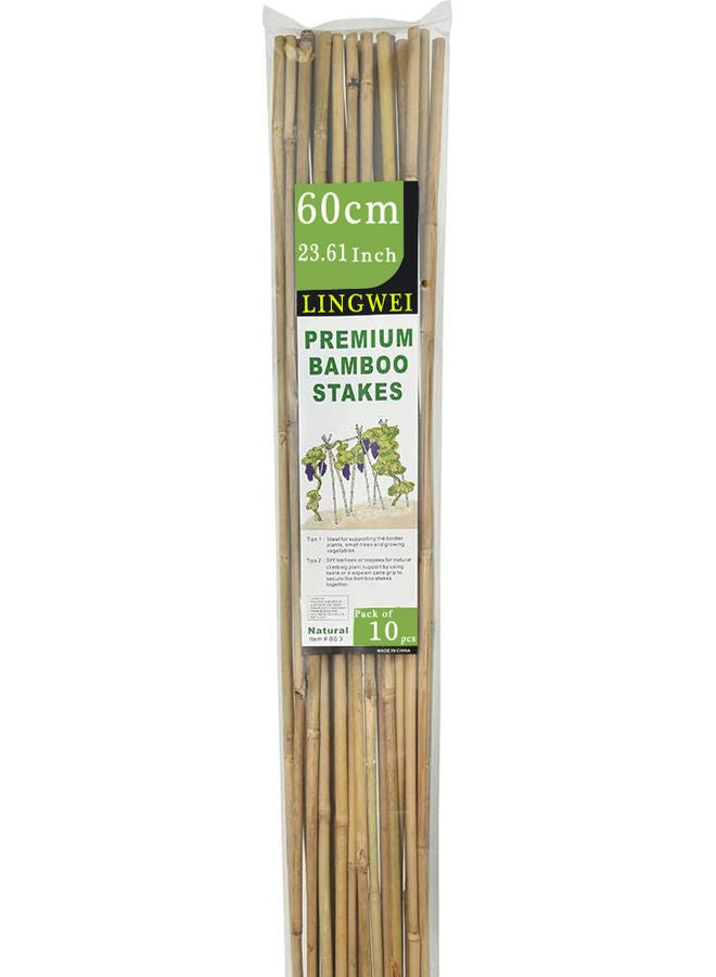 LINGWEI 10-Piece Natural Thick Bamboo Stake Beige 60x2.7cm  - Image 3