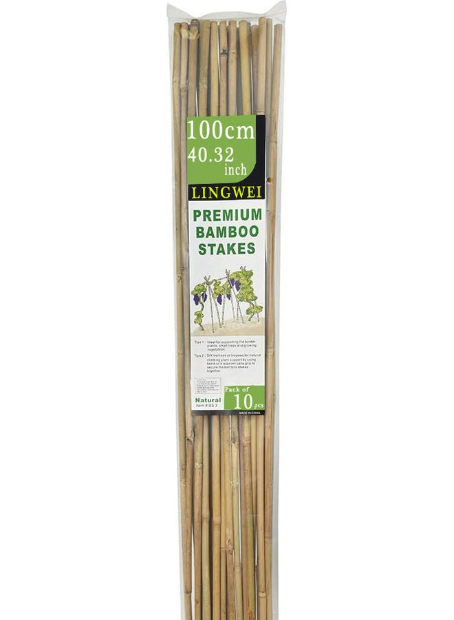 LINGWEI - 10-Piece Natural Thick Bamboo Stake Beige 100x2.7cm - Image 1