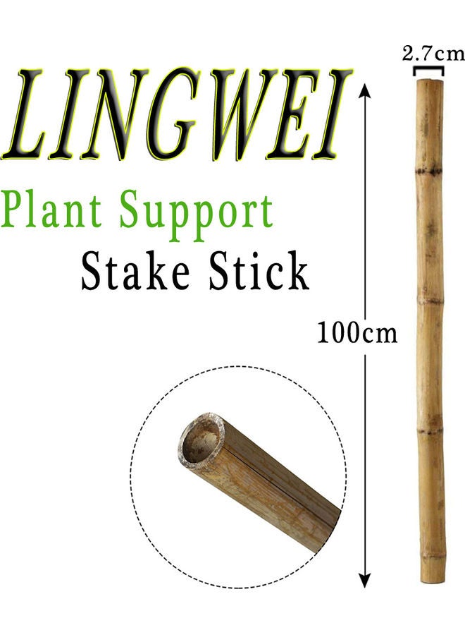LINGWEI - 10-Piece Natural Thick Bamboo Stake Beige 100x2.7cm - Image 1