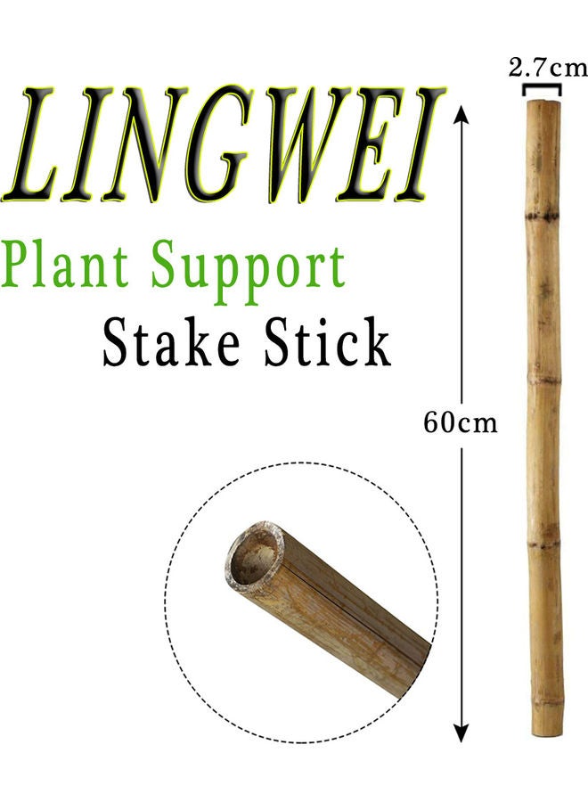LINGWEI - 4-Piece Natural Thick Bamboo Stake Beige 60x2.7cm - Image 1