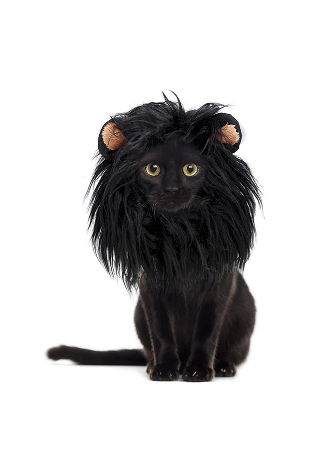 زي تنكري على شكل أسد أسود 21x3x18سم - Image 2