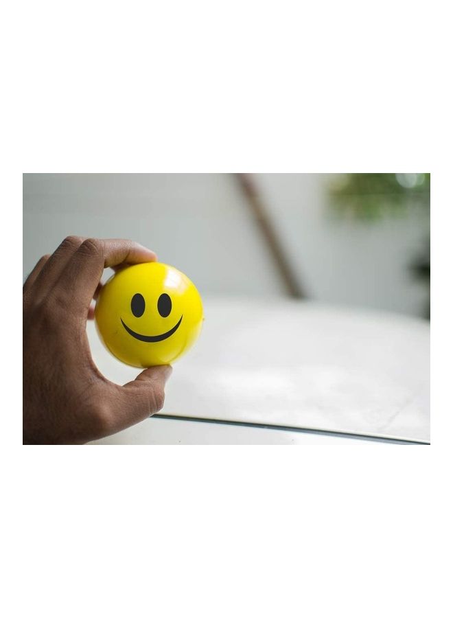 Neliblu 24-Piece Stress Smile Squeeze Ball - Image 2