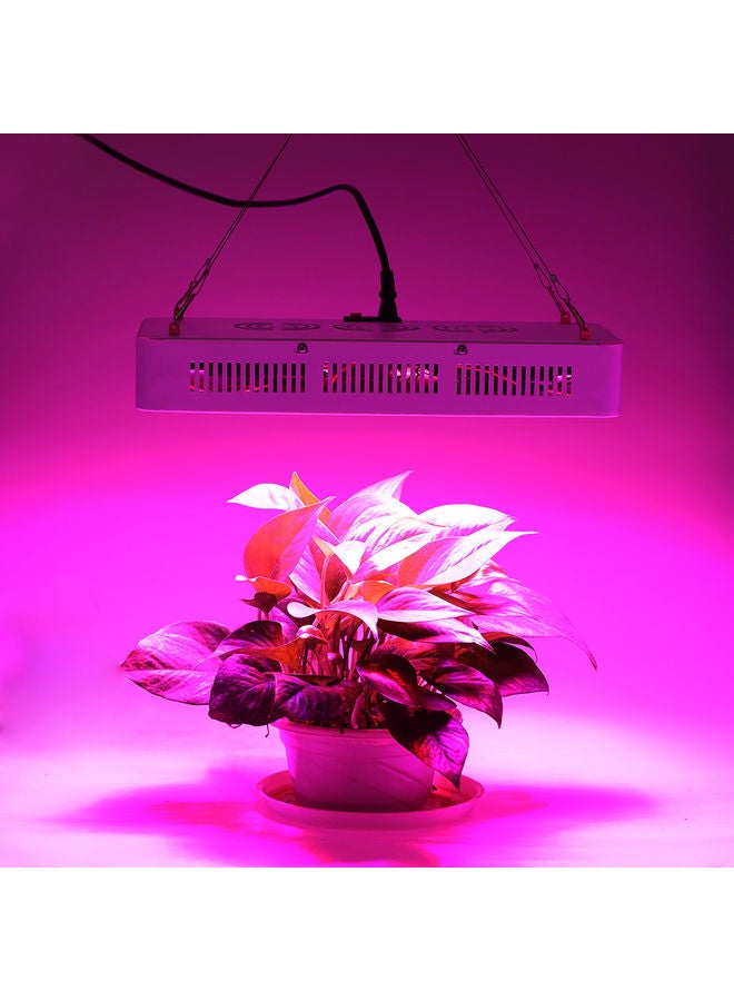 ماركة غير محددة مصباح LED يستخدم لنمو النباتات بقدرة 2000 وات متعدد الألوان  - Image 3