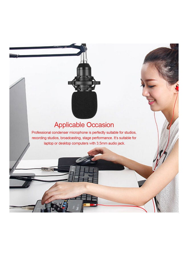 Generic Wired Condenser Microphone Studio Sound LU-VH50-56 Silver/Black  - Image 2