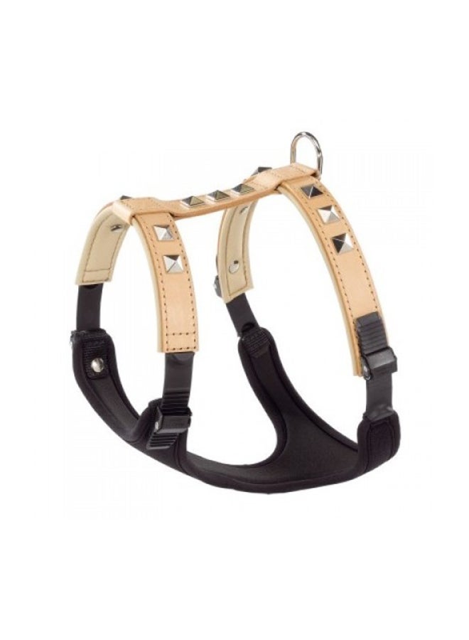 GiLuxor Harness Multicolour - v1627323222/N49481976A_1