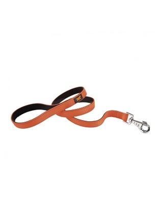 Nylon Dog Leash Assorted - v1627323227/N49482046A_1