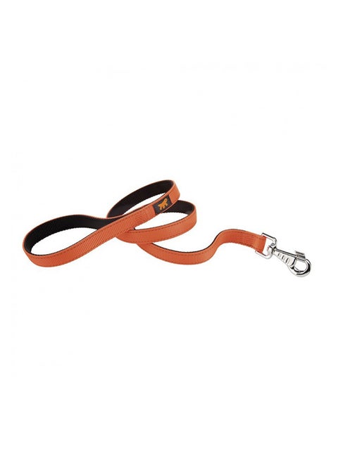 Nylon Dog Leash Assorted