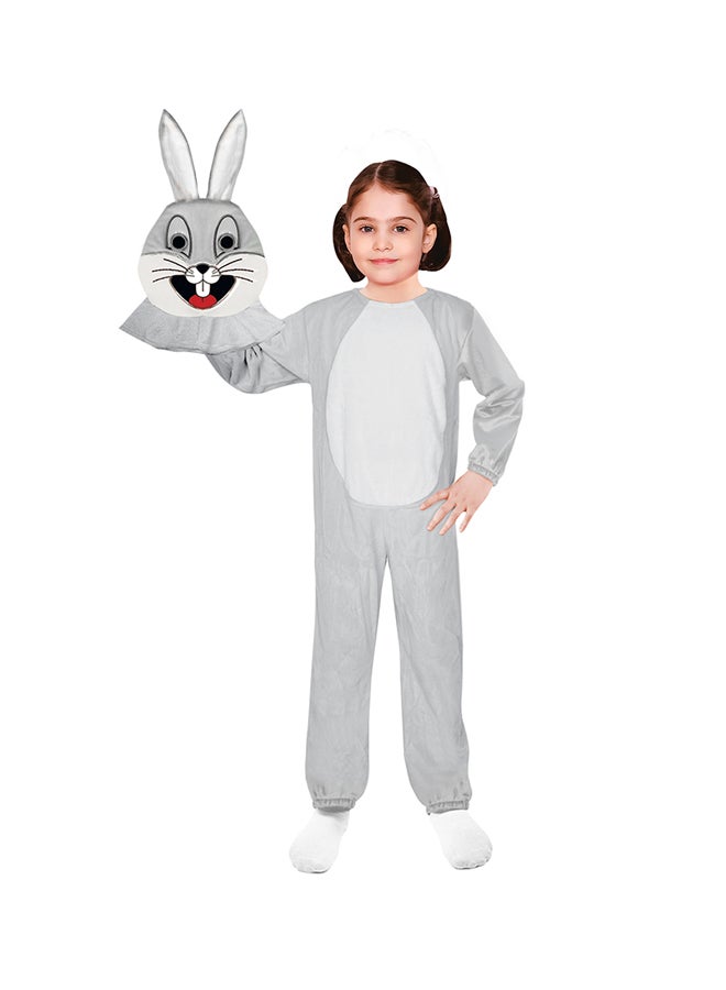 Oulabi Mir Rabbit Costume  - Image 2