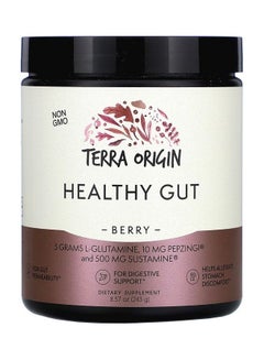 Terra Origin Healthy Gut Dietary Supplement - Berry  - Image 1