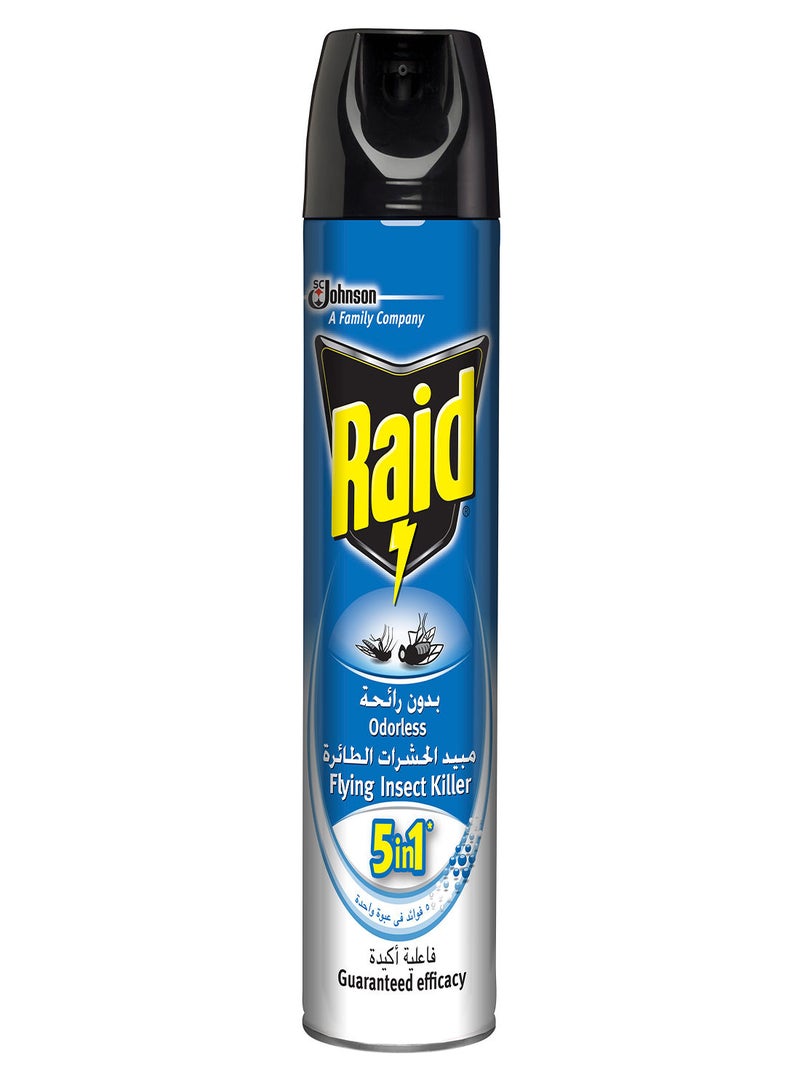 RAID - Flying Insect Killer Odorless 300ml - Image 1