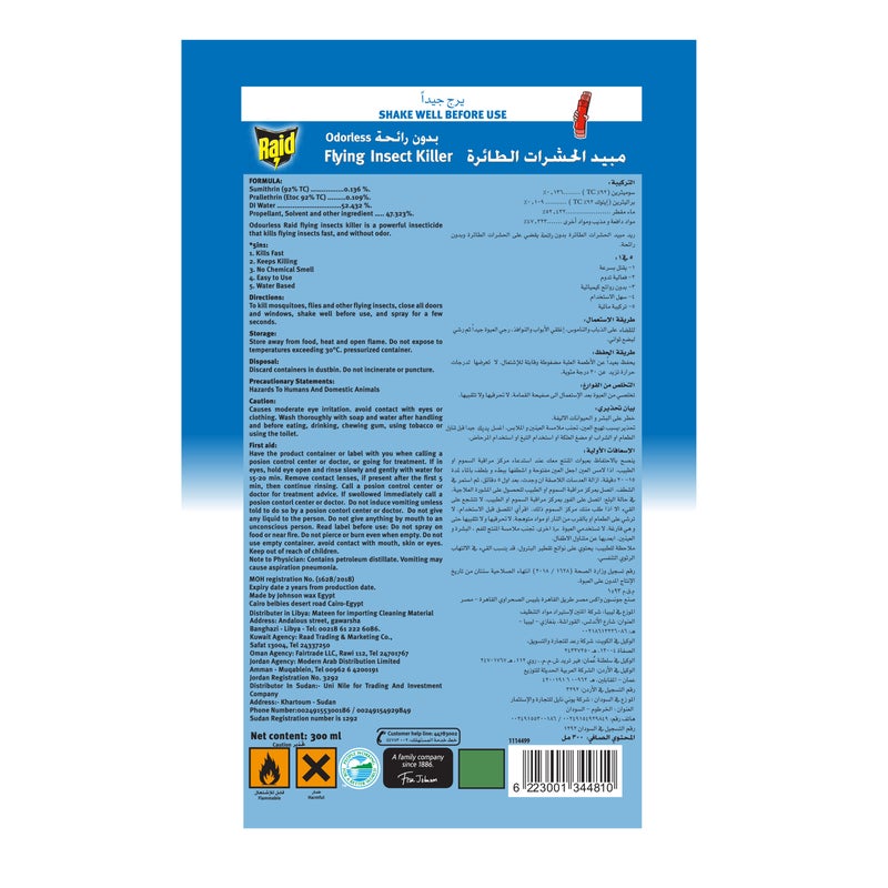 RAID - Flying Insect Killer Odorless 300ml - Image 1