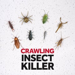 Baygon Crawling Insect Killer 300ml  - Image 3