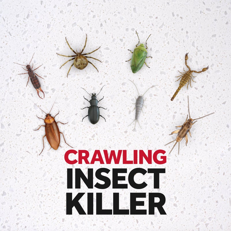 Crawling Insect Killer 300ml