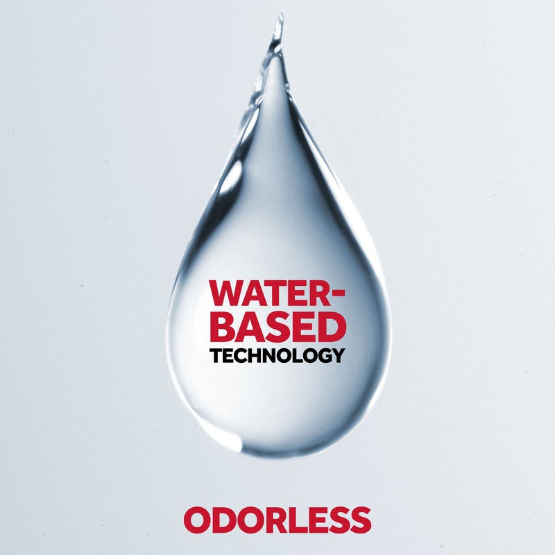 RAID - Flying Insect Killer Odorless 300ml - Image 1