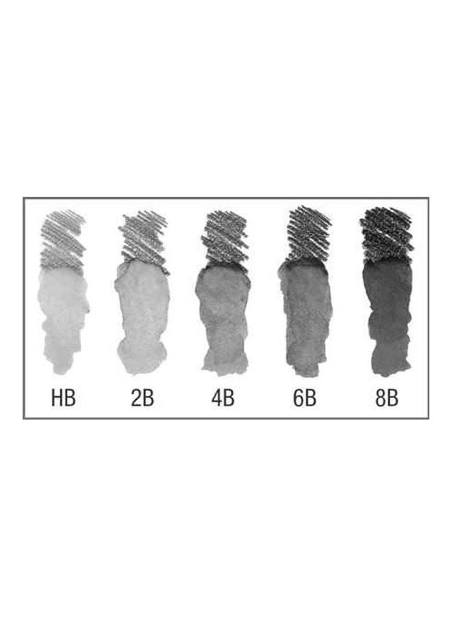 Watersoluble Pencil Graphite Aquarelle Tin Of 5 Black