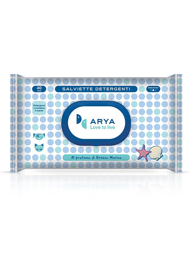 40-Arya Wet Wipes Sea Breeze Blue