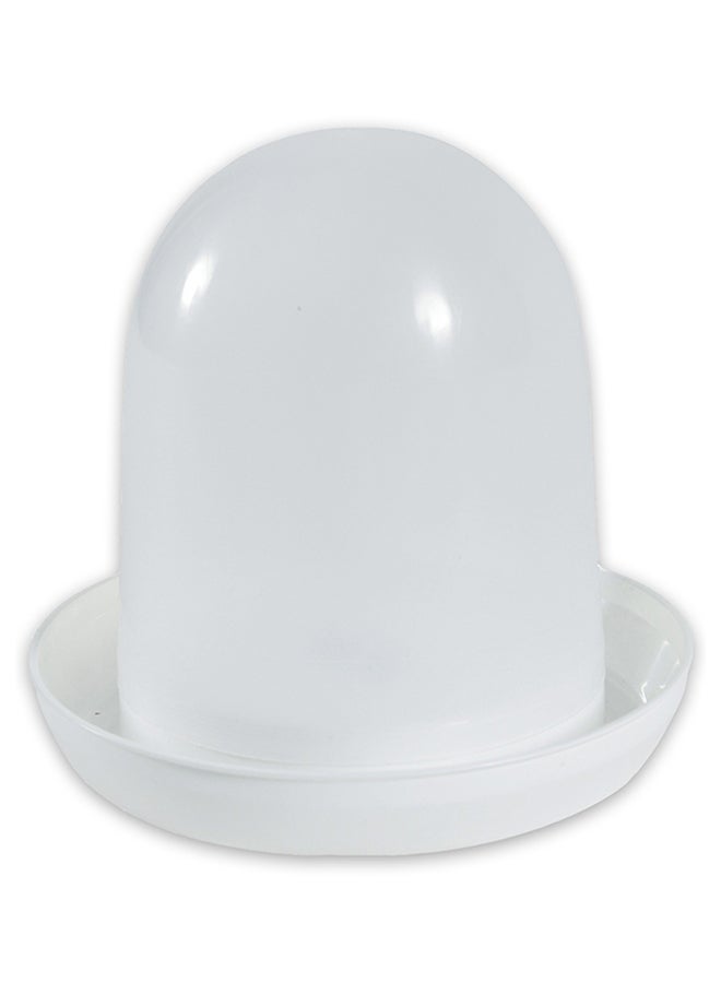 Drinking Bottle Aviary Feeder For Domestic Birds Clear