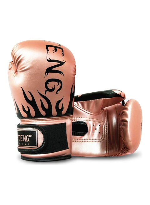 Boxing Gloves Set