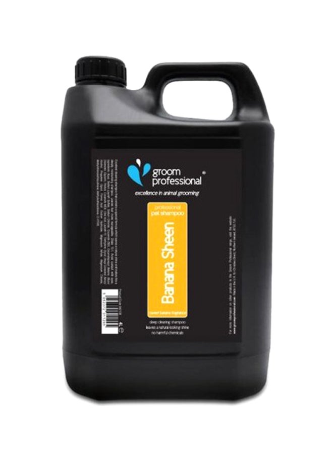 غروم بروفيشينال شامبو بانانا شين للحيوانات الأليفة