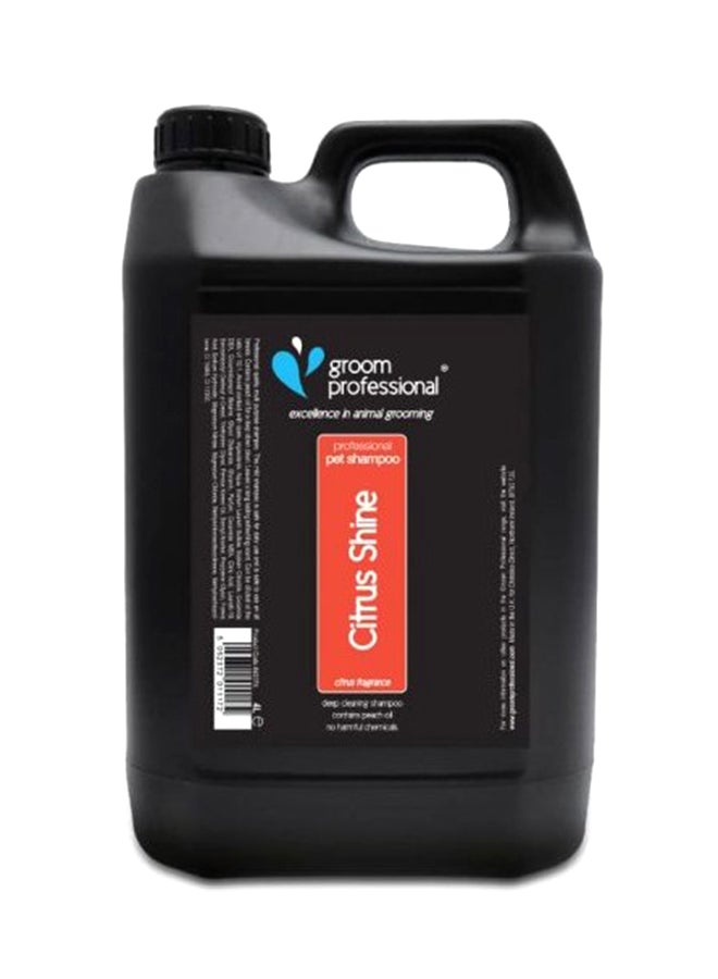 Groom Professional Citrus Shine Pet Shampoo 