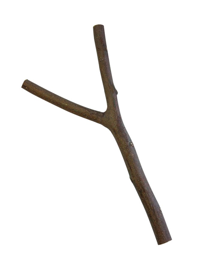 بادو قصبة طيور طبيعية ونظيفة مقاس 2.53 سم  30 سم حجم كبير متعدد الألوان