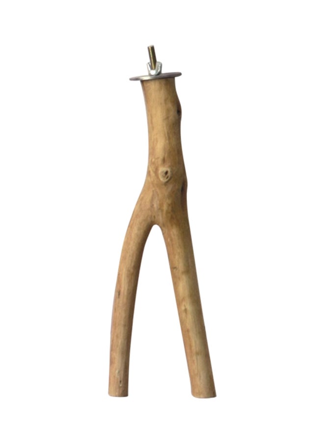 بادو بيرش للطيور بني