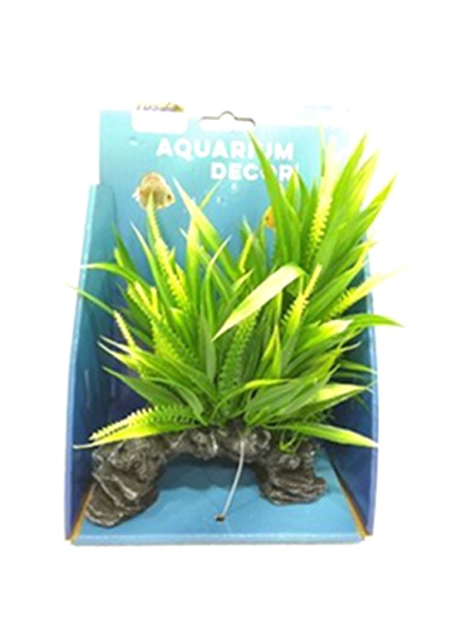 نبات لتزيين حوض السمك أخضر