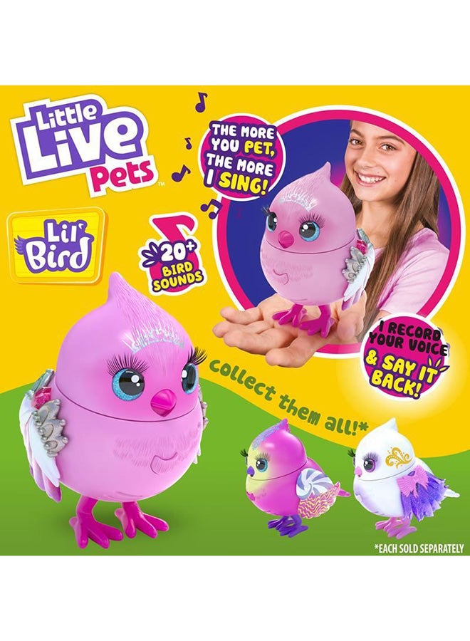 ليتل لايف بيتس حزمة ليل بيرد S10 - تيارا تيويتس ‎5.84 x 10.16 x 8.89سم - Image 3