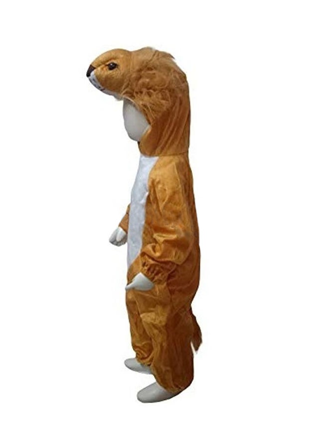 زي تنكري فاخر للأطفال على شكل حيوان الأسد شير من BookMyCostume 12x10x4بوصة - Image 2