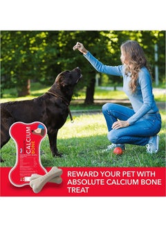 40 Piece Absolute Calcium Bone Jar, Dog Supplement Treat Multicolour 600grams - v1627489528/N49541775A_4