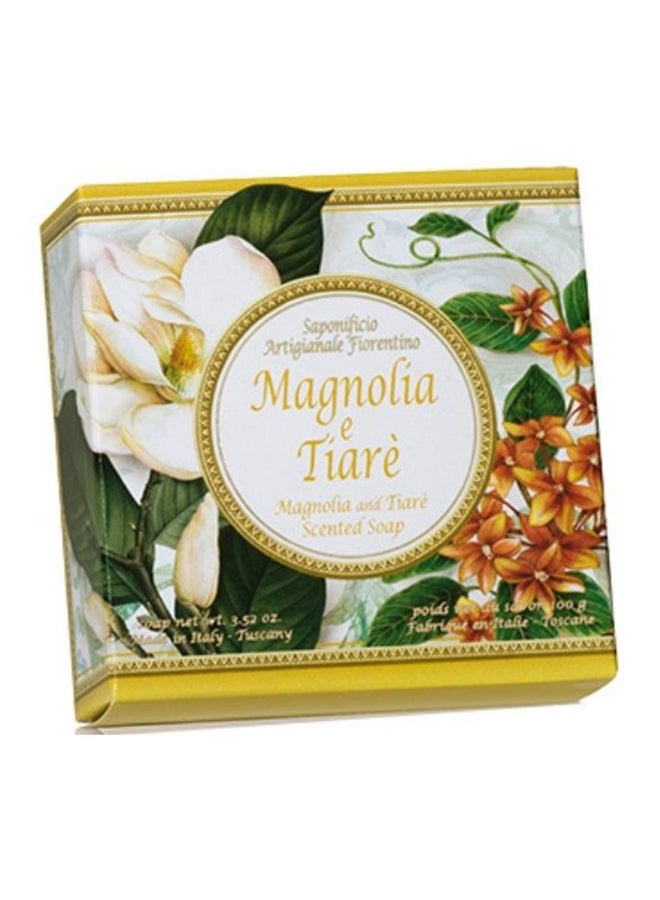 صابونيفيكيو أرتيجيانال فيورنتينو صابون برائحة أزهار الماغنوليا والتاري من بورتوفينو شفاف 100جرام