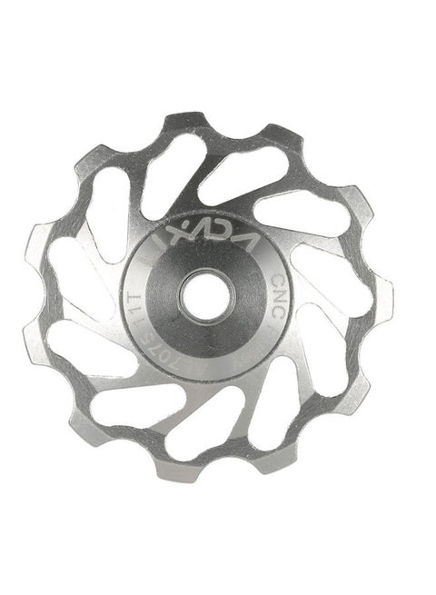 Bicycle Rear Derailleur Guide