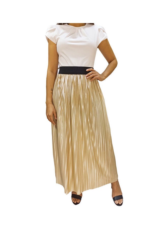 Fabienne - Elastic Waist Pleated Maxi Skirt Beige - Image 1