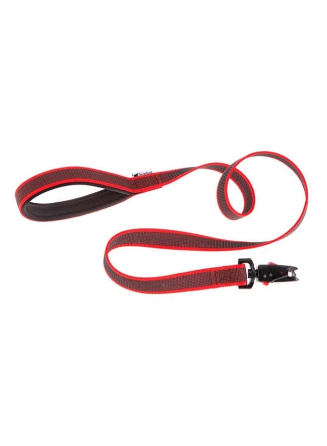 Daytona Gummy Matic G Dog Lead Complete With Automatic Carabiner Multicolour - v1627828575/N49644333A_1