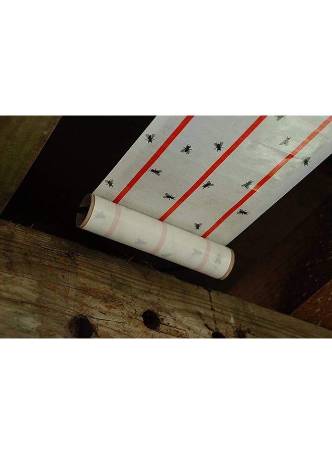 STV Xl Sticky Fly Roll 25cm - Image 3