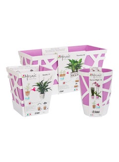 Combination of Mosaic Curve 13 + Quadro 17 + Flowerbox 40 Purple