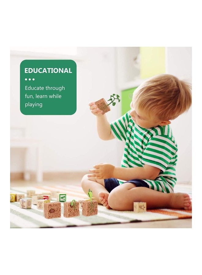 Generic 4-Piece Plants Life Cycle Educational Evolution Toy  - Image 4